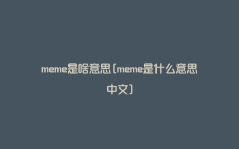 meme是啥意思[meme是什么意思中文]