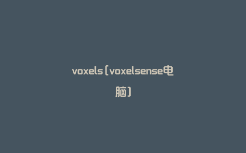voxels[voxelsense电脑]