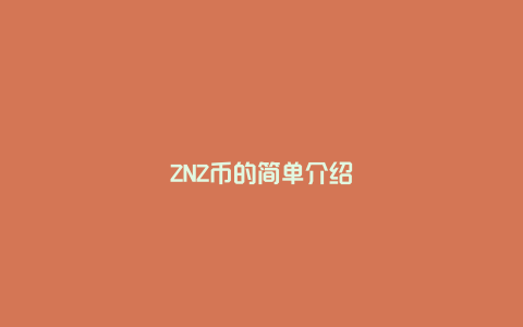 ZNZ币的简单介绍