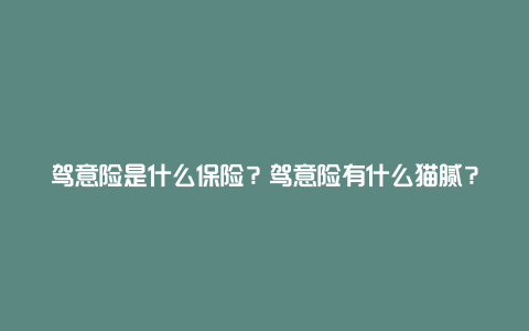 驾意险是什么保险？驾意险有什么猫腻？